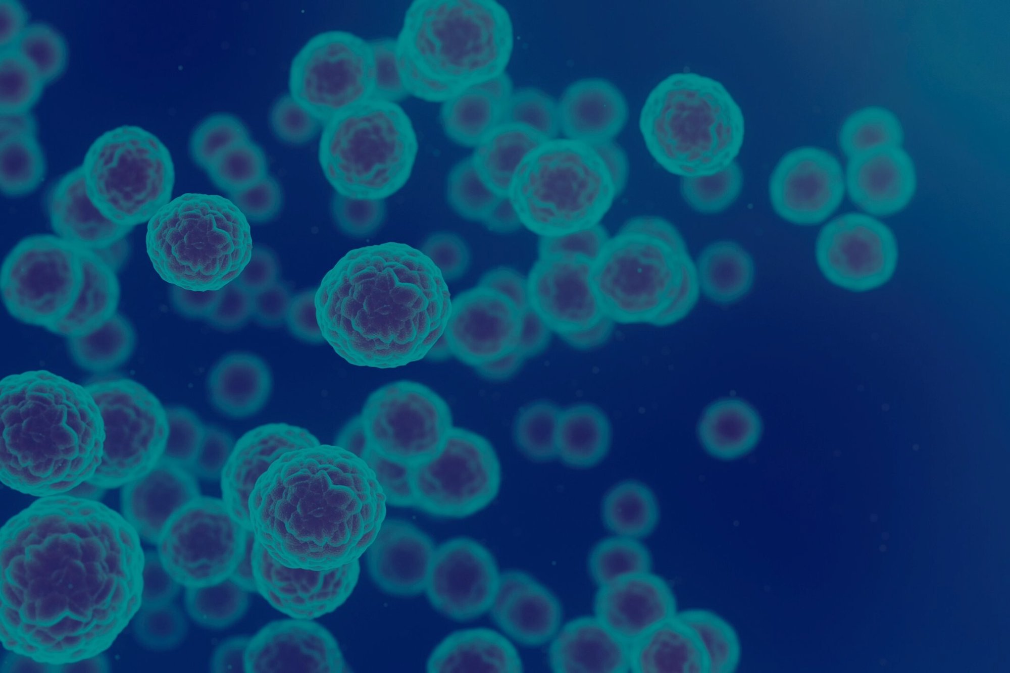 2025 FDA Round Up_Header