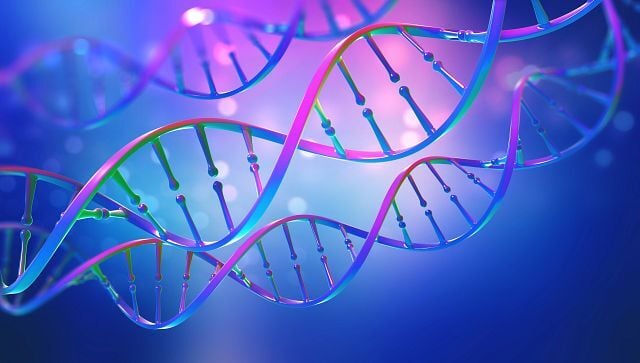 32. DNA. Study of gene structure of cell