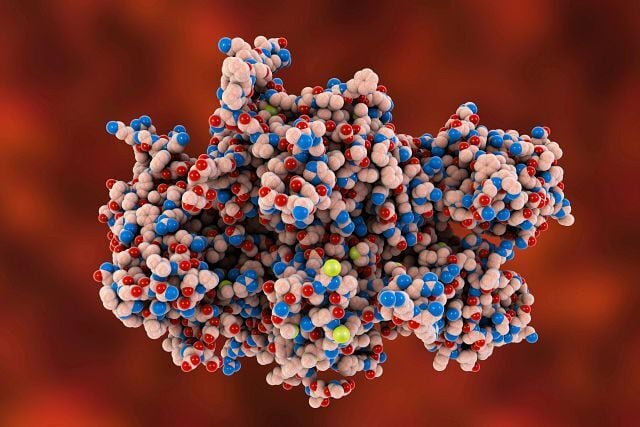 38 Proteomics