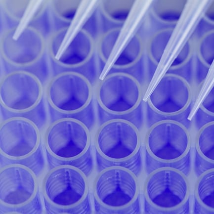 4 Key Strategies for Future-Proofing Gene Therapy Assay Validation