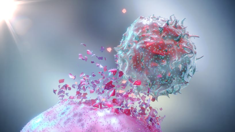 81. Natural Killer Cell (NK Cell) destroying a cancer cell