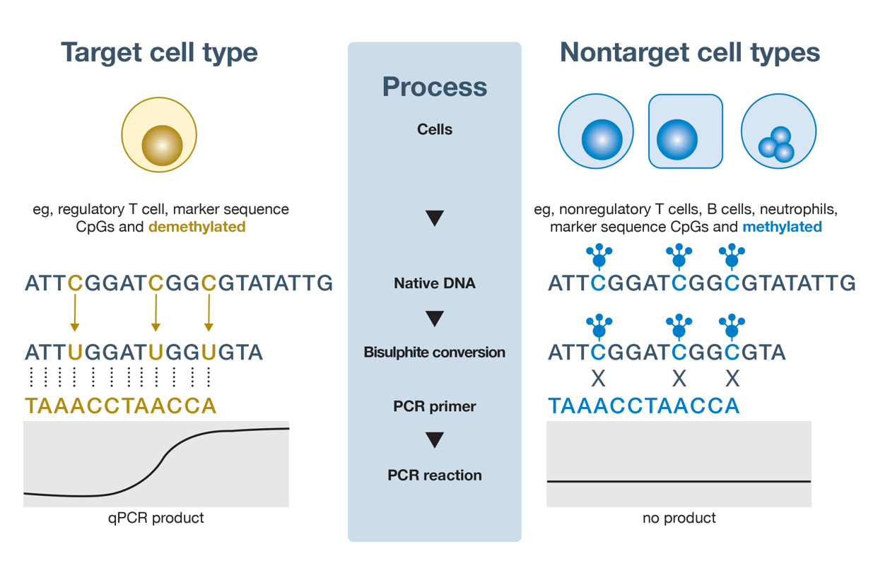 Characterizing a Central Switch of Immune Suppression