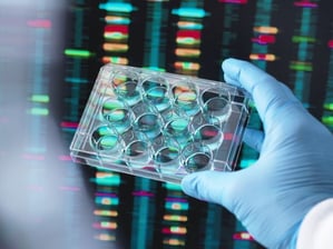 Key Strategies for Future-Proofing Gene Therapy Assay Validations