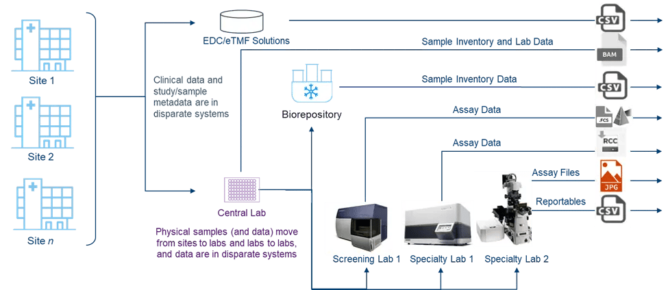 Central Lab Services Figure 1