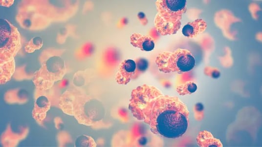 Clinical Trial Designs