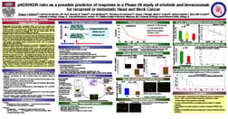 pKDR/KDR Ratio as Possible Predictor of Response in Phase I/II Study of Erlotinib and Bevacizumab for Recurrent or Metastatic Head and Neck Cancer