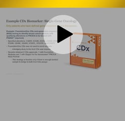 Companion Diagnostics: Strategies for Effective Co-Development with Therapeutics