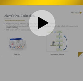 https://5014803.fs1.hubspotusercontent-na1.net/hubfs/5014803/PFM%20Resources/Resources%20Thumbnails/Webinar/612x597%20Webinar%20-%20Play%20Button%20Display/PFM%20-%20Incorporating%20Tumor%20Biopsy%20Spatial%20Analysis%20in%20Oncology%20Clinical%20Trials%20-%20Webinar.jpg