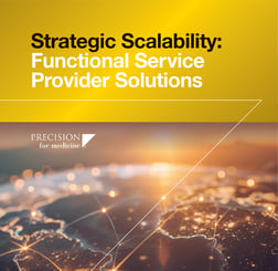 Strategic Scalability: Functional Service Provider Solutions
