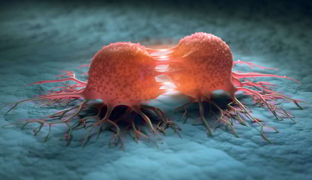 Onc_cell divide_AdobeStock_293439993