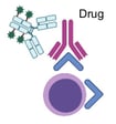 Bound Receptor