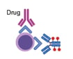 Free receptor