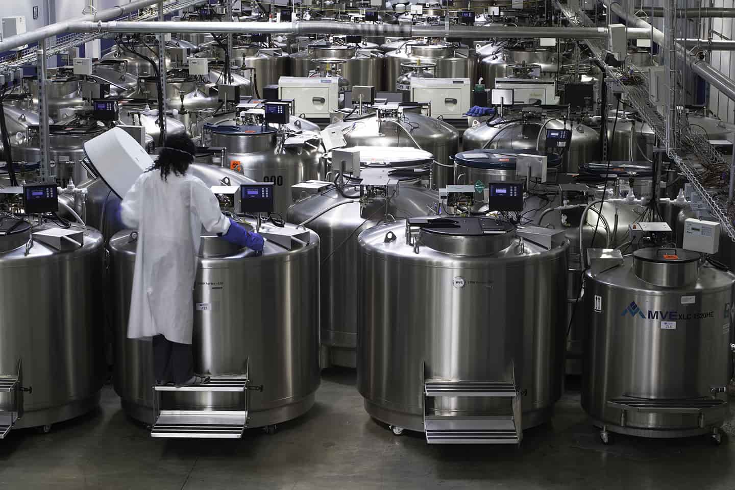 Stockage biologique