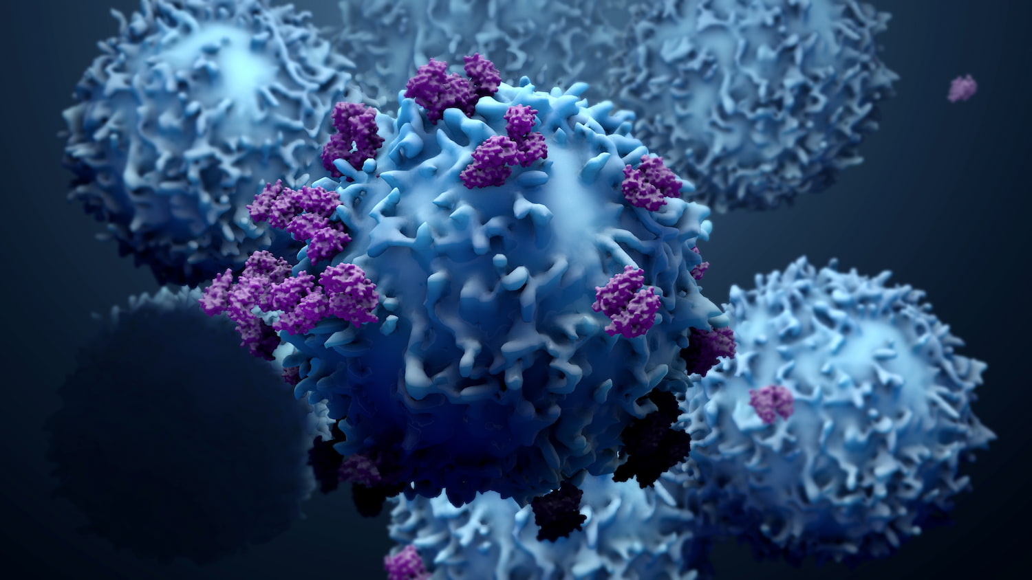Cancer cells_Protein expression