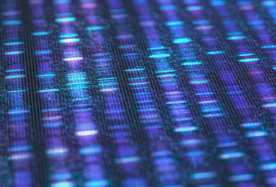 AdobeStock_299190300