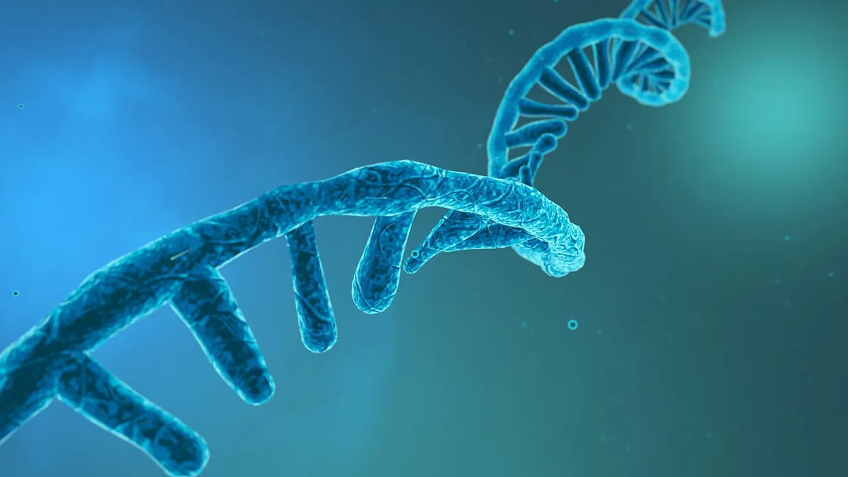 target-expression-xpressway_header