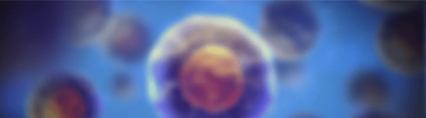 BMMCSs Background