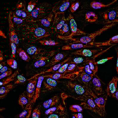 fish-ish_card-thumbnail