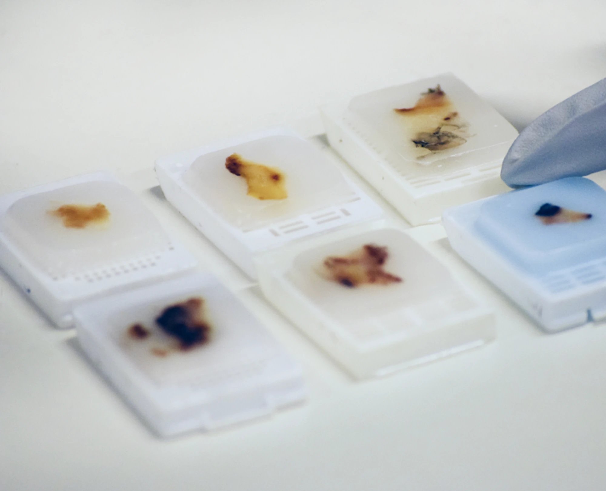 ffpe-tissue-repository-01