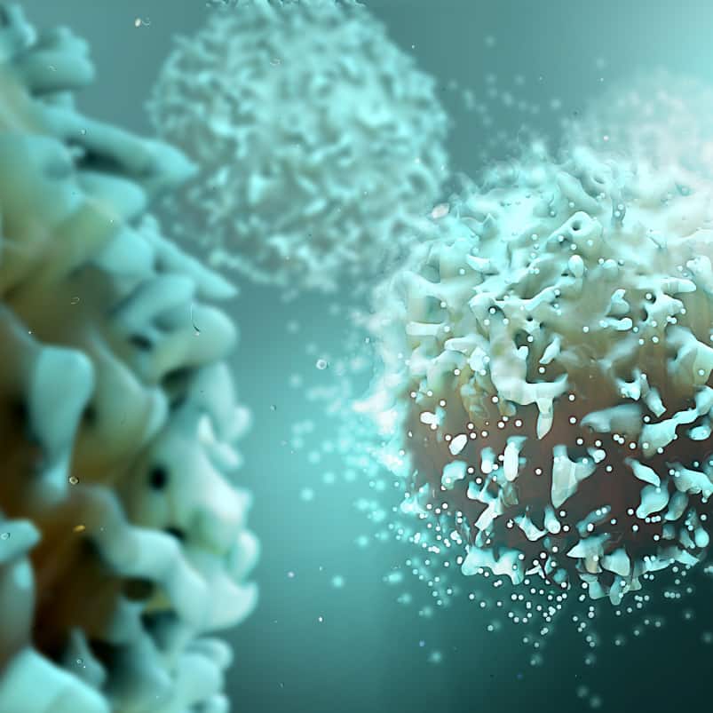 Pharmacokinetic (PK) Assays | Precision for Medicine