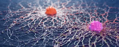 Pivotal oncology trials