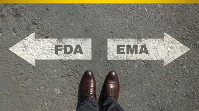 What the EMA–FDA AI Principles Really Mean for Clinical Development & Regulatory Affairs