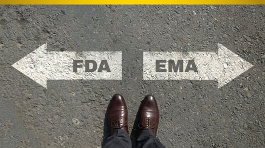 What the EMA–FDA AI Principles Really Mean for Clinical Development & Regulatory Affairs