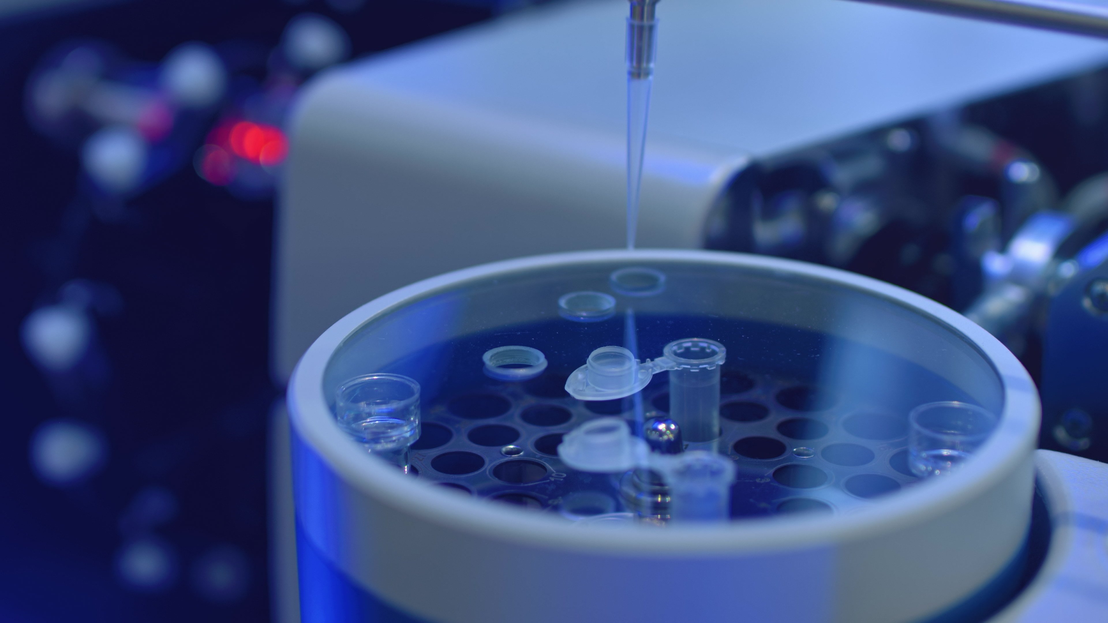 shutterstock_kitting