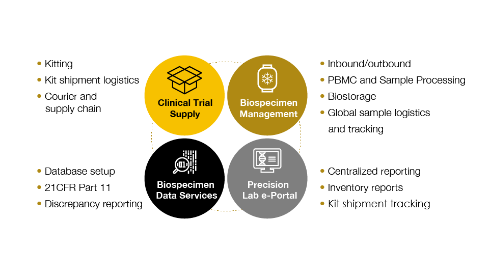 central lab services diagram central lab services diagram