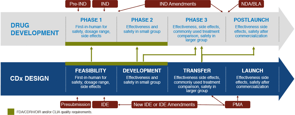 Flow chart describing Drug Development and DCx Design phases