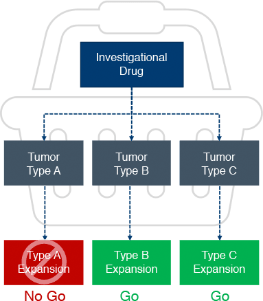 Vertical flow chart explaining Investigational Drug, Tumor Type, and Expansion type
