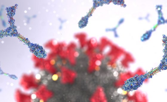 Antibody proteins attack a corona virus pathogen cell - 3d illustration
